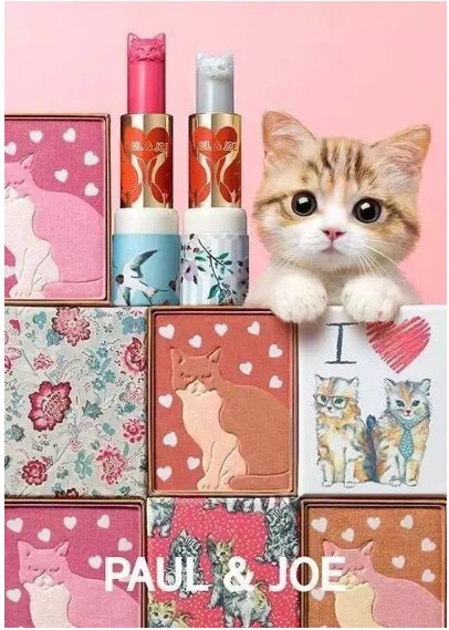 淘宝那些性价比高明星也喜欢的13个小众品牌