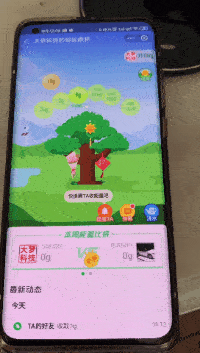 蚂蚁森林自动收能量APP助手 AutoJs辅助脚本来帮你