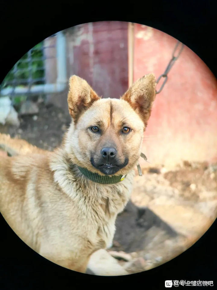 望远镜哪个牌子好 大佬教你怎么淘宝选择望远镜