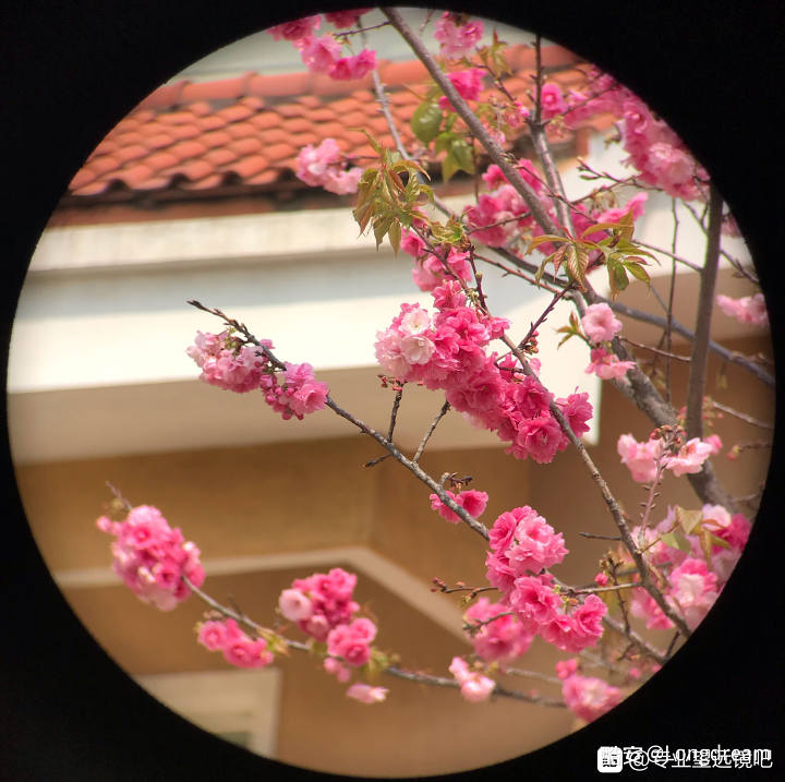 望远镜哪个牌子好 大佬教你怎么淘宝选择望远镜